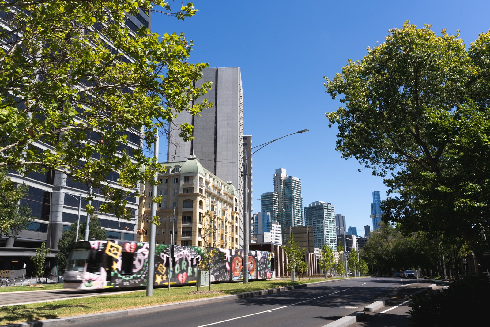 specialised management group melbourne project managers